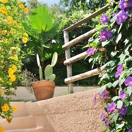 Ipomea - Cielo & Terra *