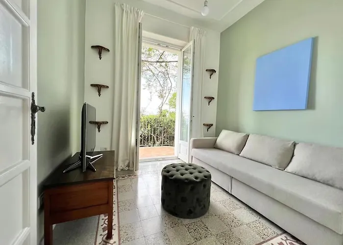 فيلة Ipomea - Cielo & Terra