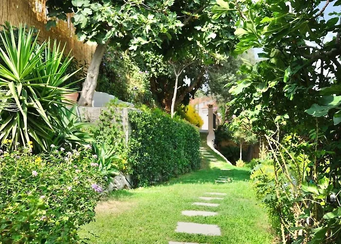 فيلة Ipomea - Cielo & Terra