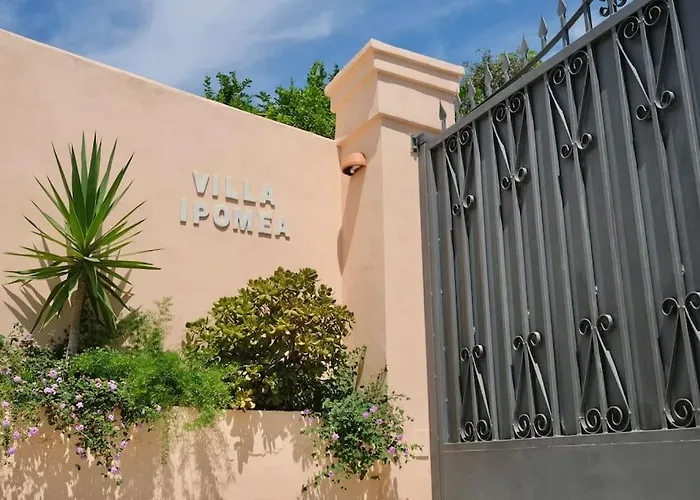 Ipomea - Cielo & Terra *