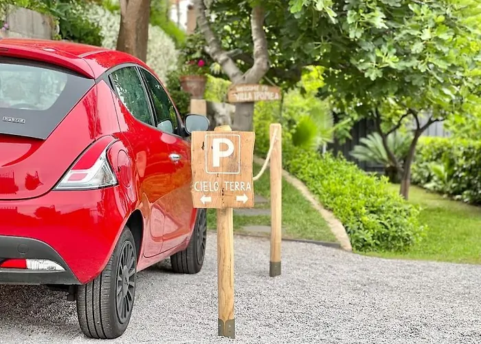 فيلة Ipomea - Cielo & Terra *