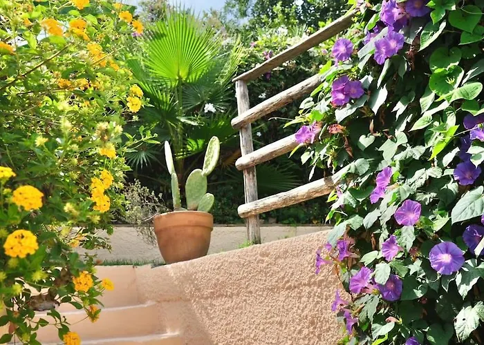 Ipomea - Cielo & Terra *